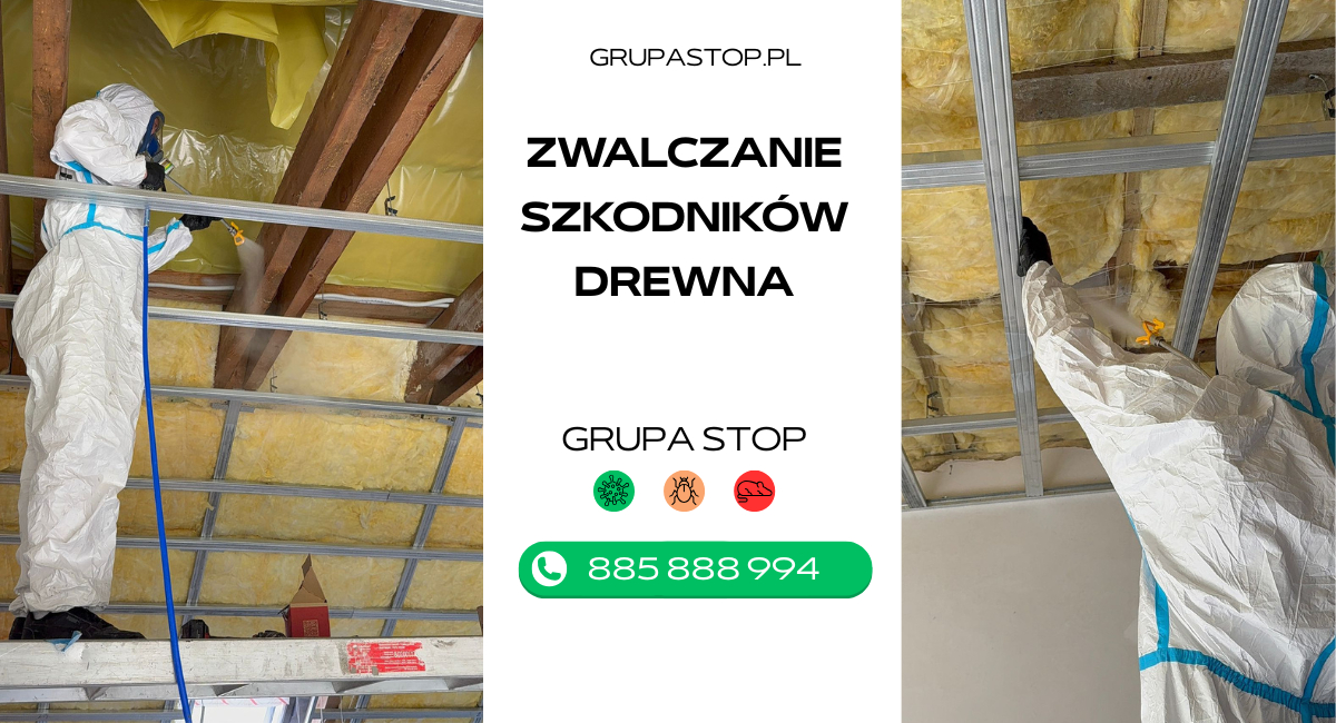 zwalczanie szkodników drewna