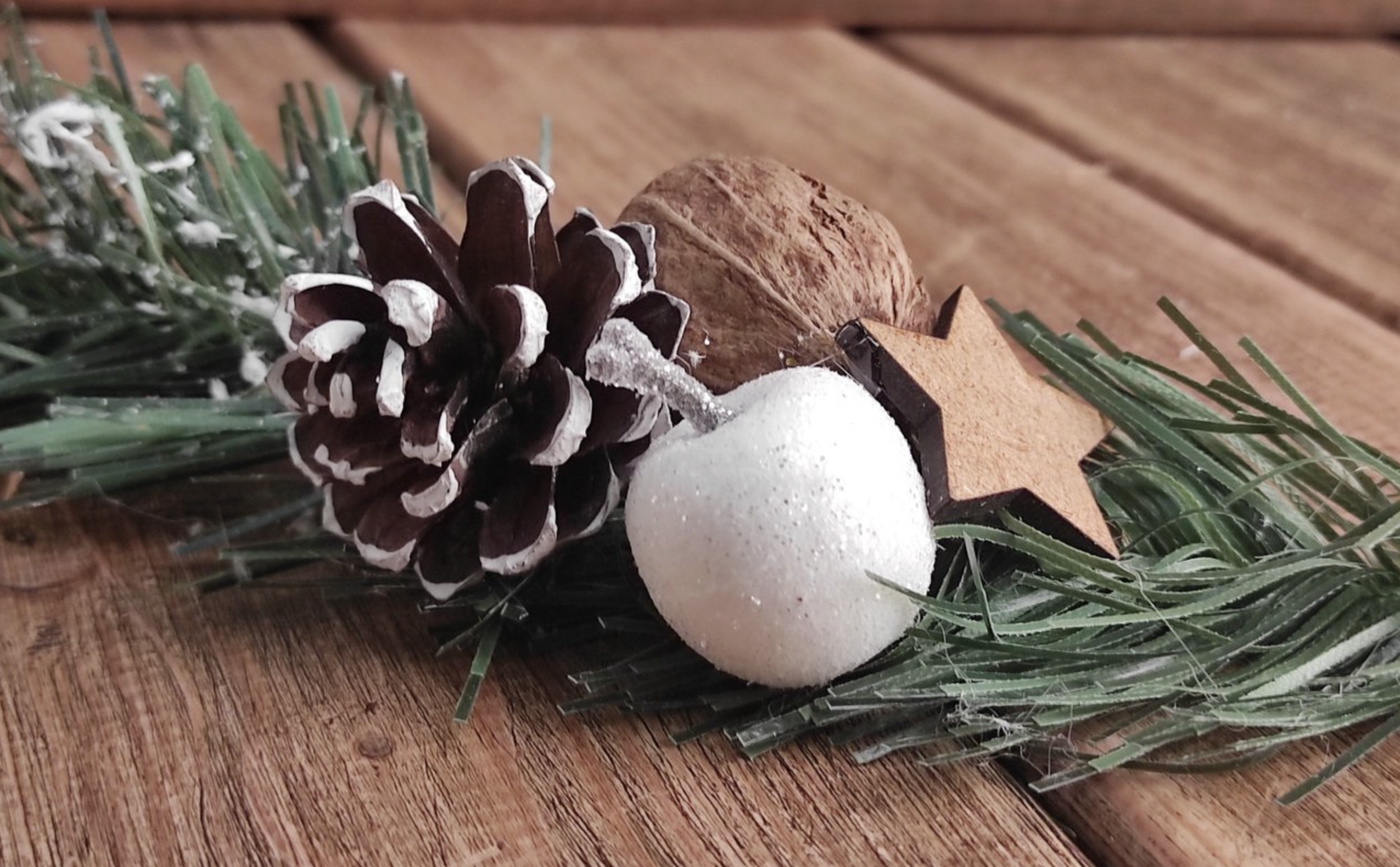 Gałązki świerku, jodły lub sosny