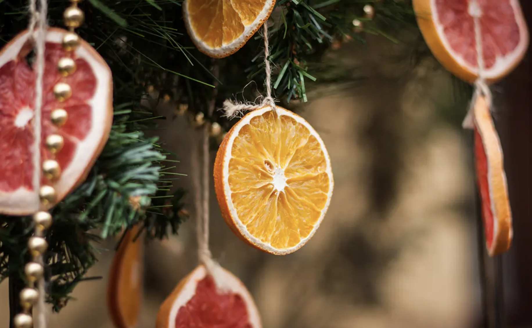 Suszone pomarańcze i laski cynamonu