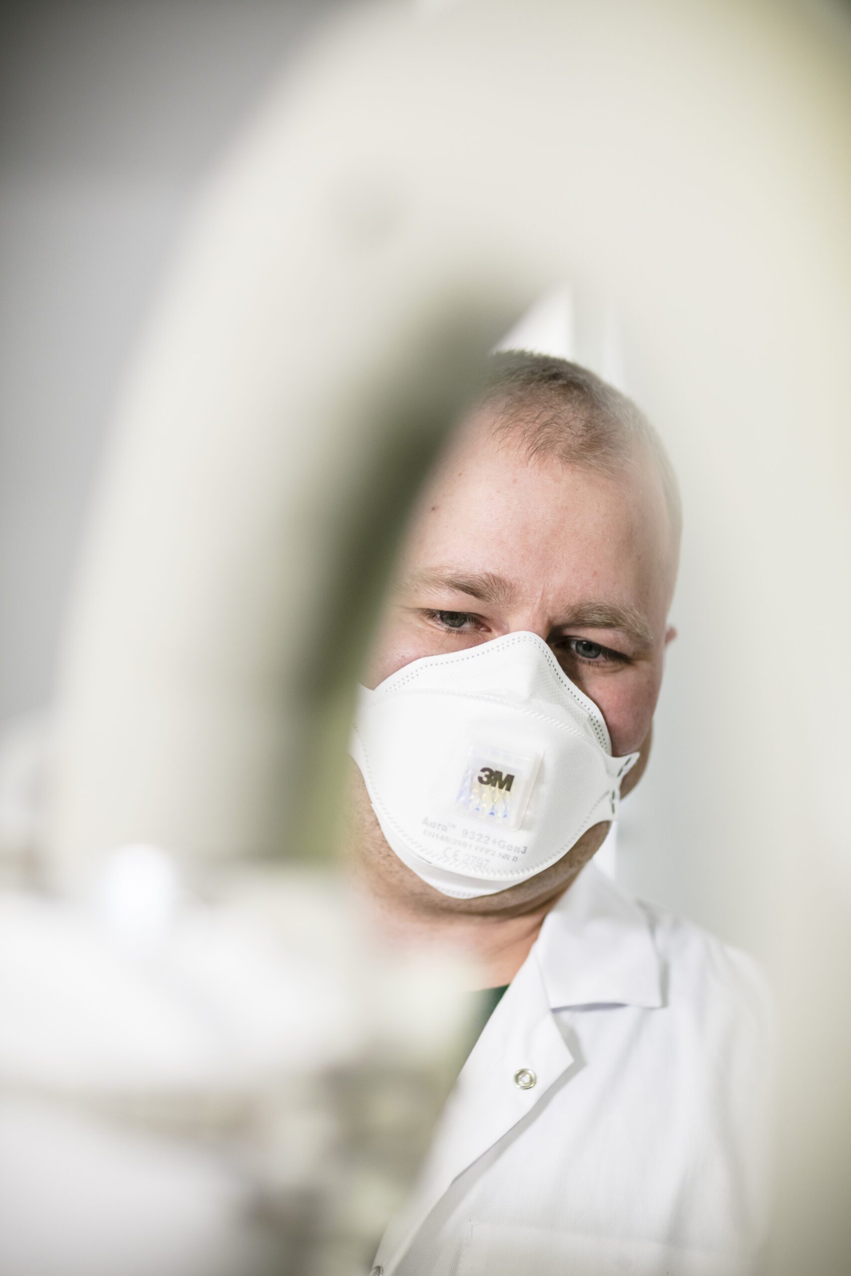 Puch gęsi a alergia. Fakty, mity i bezpieczne rozwiązania dla alergików od producenta Proecodreams
